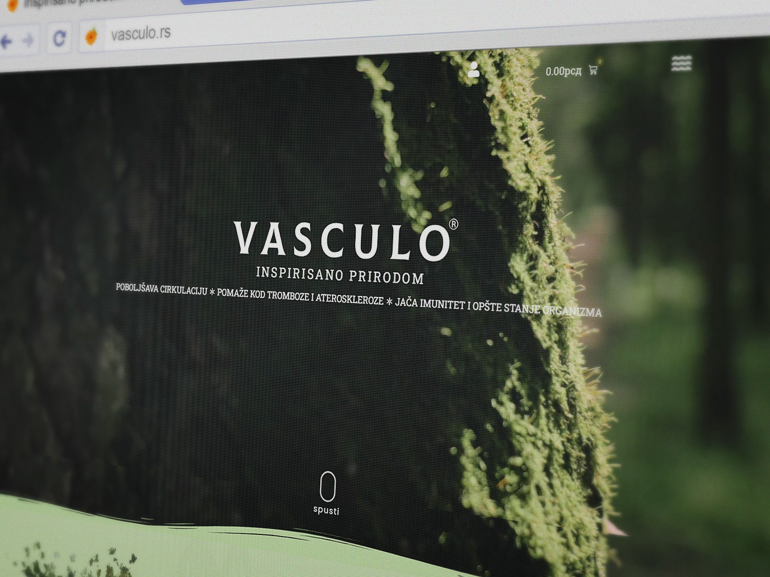 Web sajt Vasculo — prikaz naslovne stranice